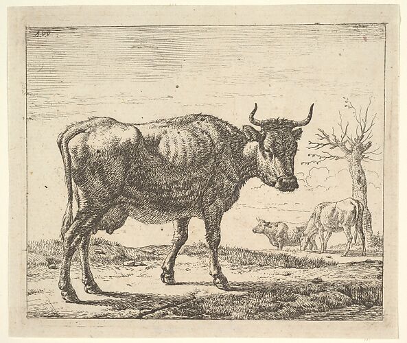 Three Cows, plate 5 from 