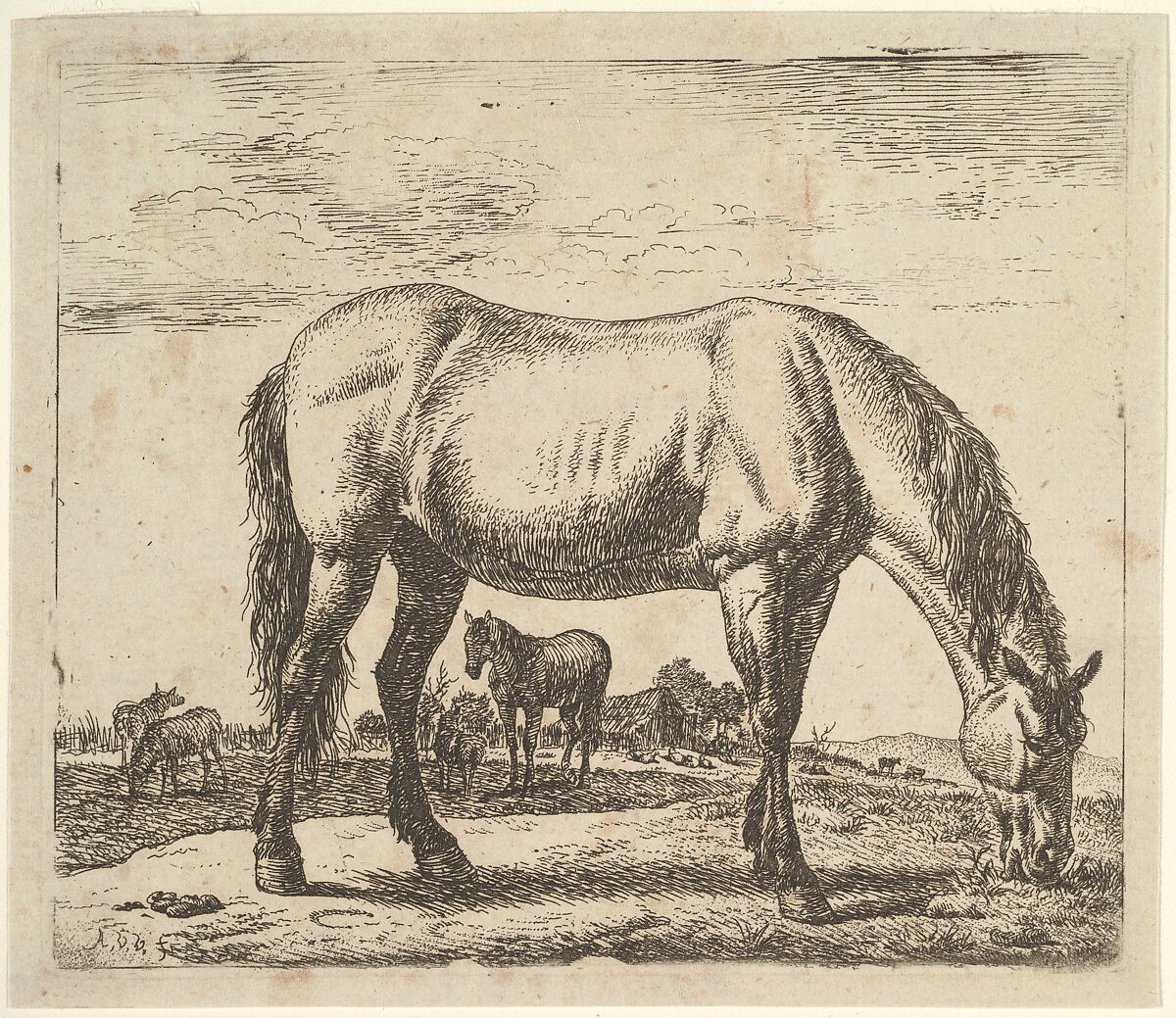 Grazing Horse, from Different Animals, Adriaen van de Velde (Dutch, Amsterdam 1636–1672 Amsterdam), Etching 