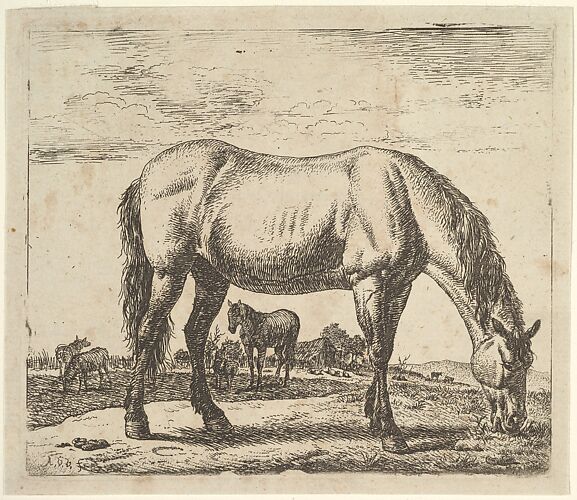Grazing Horse, from Different Animals