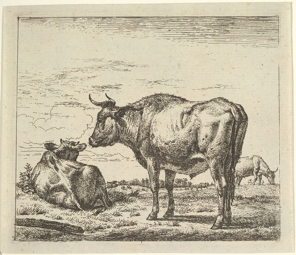 Standing Bull, from Different Animals, Adriaen van de Velde (Dutch, Amsterdam 1636–1672 Amsterdam), Etching 