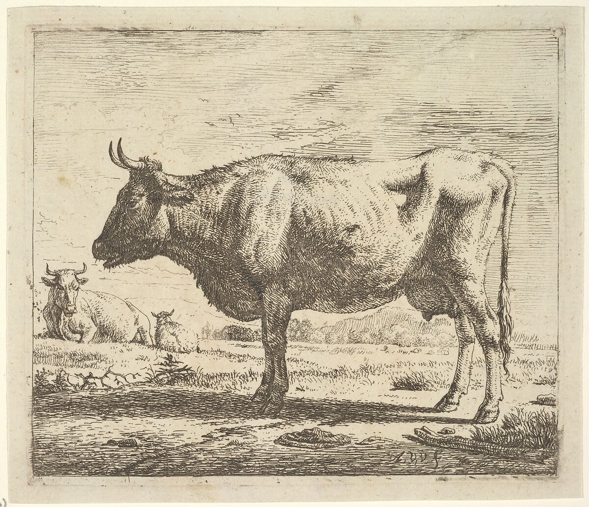 Two Cows and a Sheep, from Different Animals, Adriaen van de Velde (Dutch, Amsterdam 1636–1672 Amsterdam), Etching 