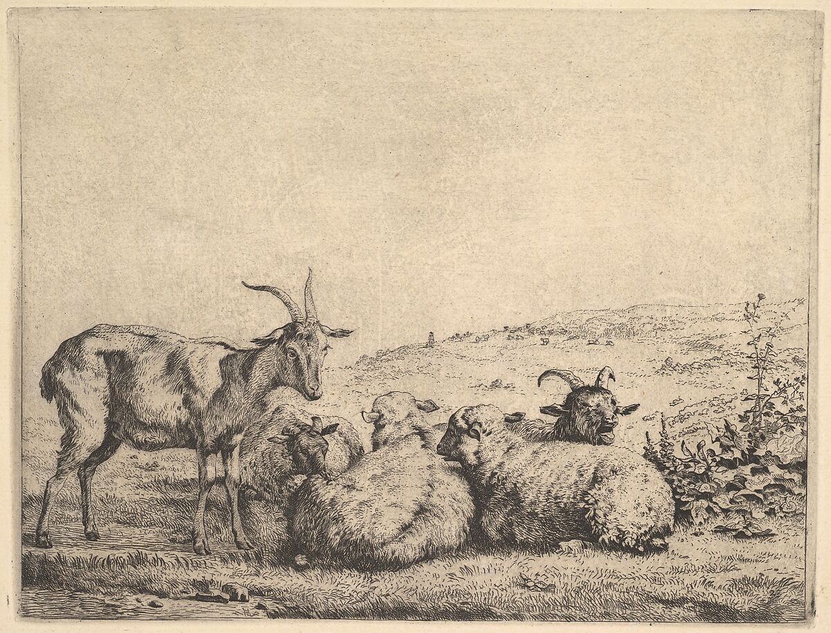 Two Goats and Three Sheep, Karel Dujardin (Dutch, Amsterdam 1622–1678 Venice), Etching; Third of three states 