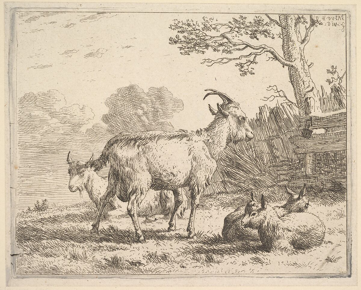Four goats; at the back a nanny goat lies on the ground, in the middle a billy goat stands, in the front two kids lie on the ground, a fence and tree beyond, Karel Dujardin (Dutch, Amsterdam 1622–1678 Venice), Etching 
