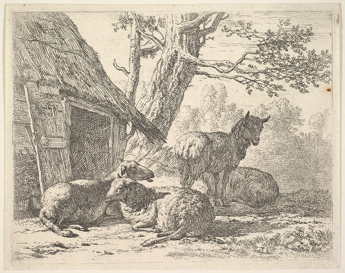 Four sheep, one sheep stands among three others lying on the ground next to a shed with thatched roof and open door, Karel Dujardin (Dutch, Amsterdam 1622–1678 Venice), Etching 