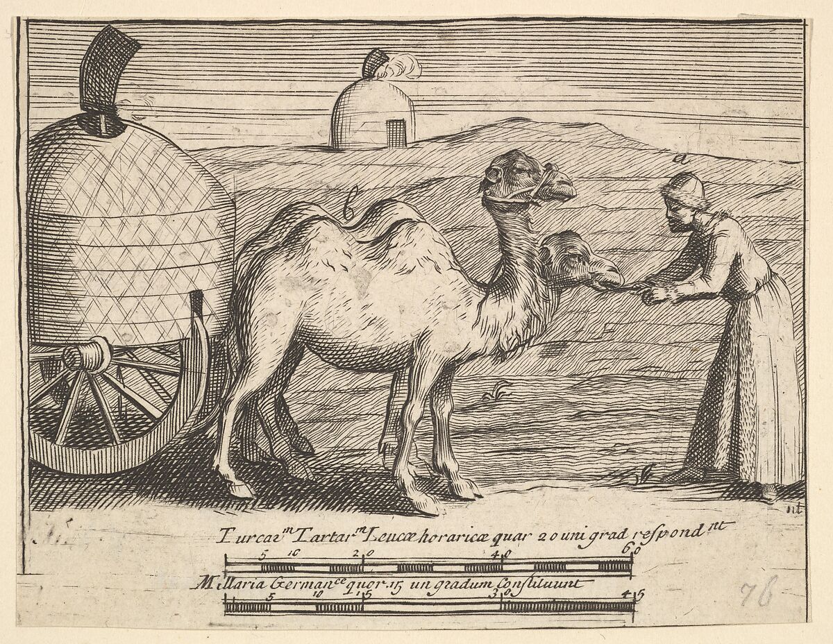 Two Dromedaries (Aubry de La Mottraye's "Travels throughout Europe, Asia and into Part of Africa...,"  London, 1724, plate 314), Attributed to William Hogarth (British, London 1697–1764 London), Engraving; first state of two 