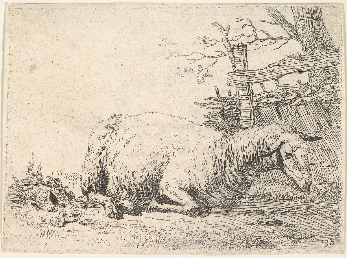 A sheep lying with its legs folded underneath its body next to a wooden fence, the sheep in profile view, Karel Dujardin (Dutch, Amsterdam 1622–1678 Venice), Etching 