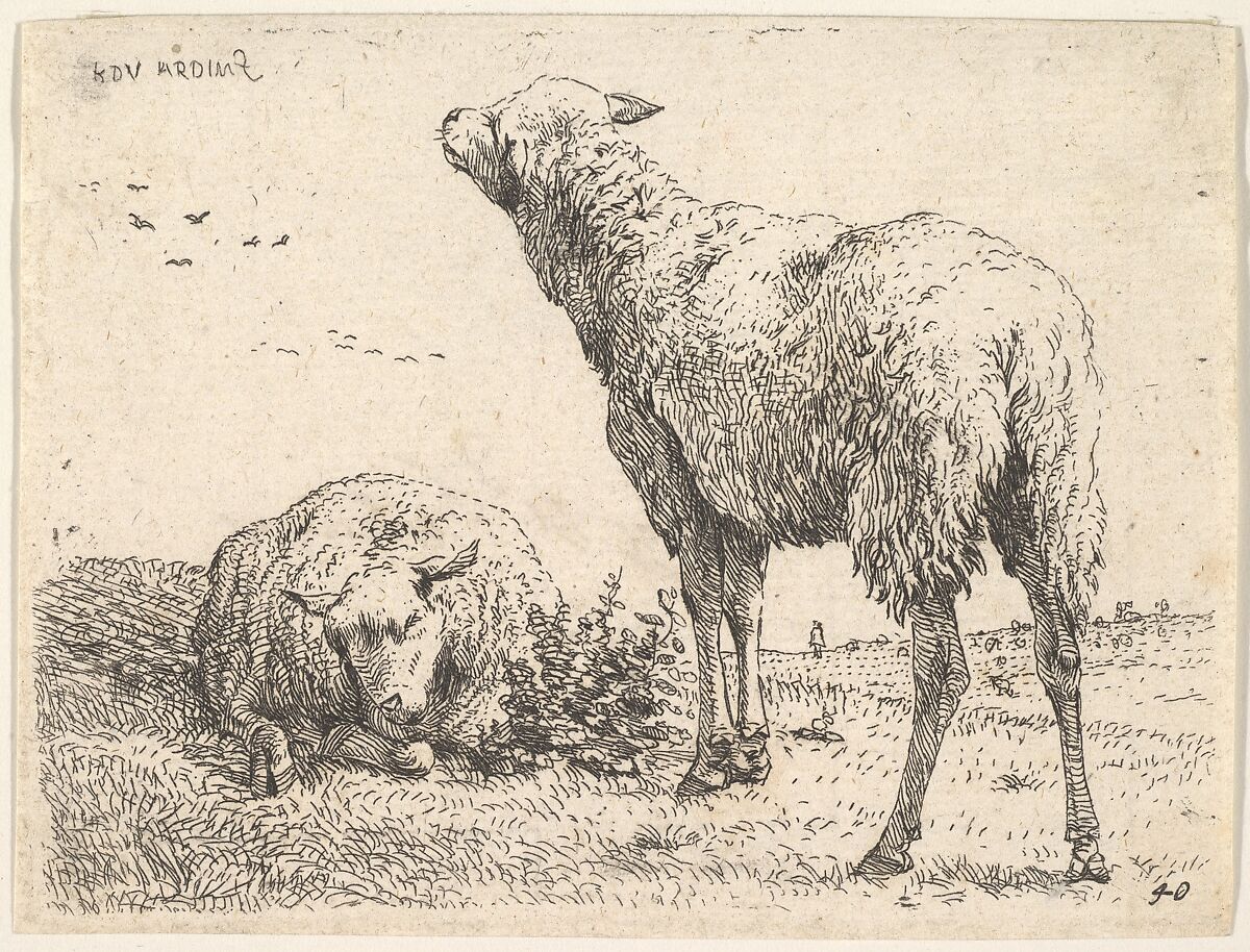 Two sheep, one shown frontally in a reclining position with its legs folded underneath the body, to the right a standing sheep shown from behind in three-quarters view, a grassy field below them and beyond, Karel Dujardin (Dutch, Amsterdam 1622–1678 Venice), Etching 