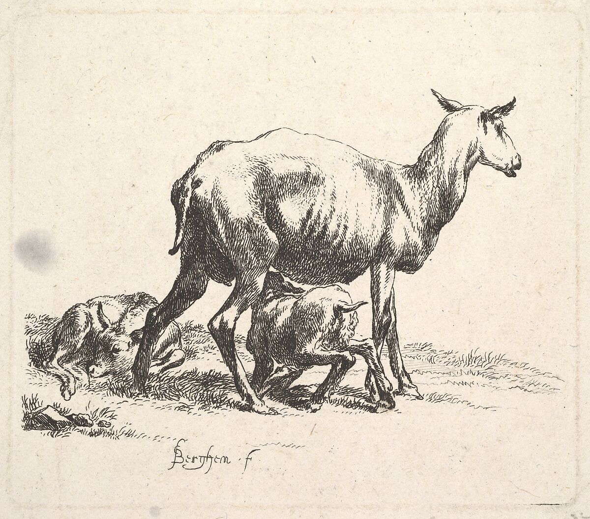 Sheep with Lamb Nursing, Nicolaes Berchem (Dutch, Haarlem 1621/22–1683 Amsterdam), Etching 