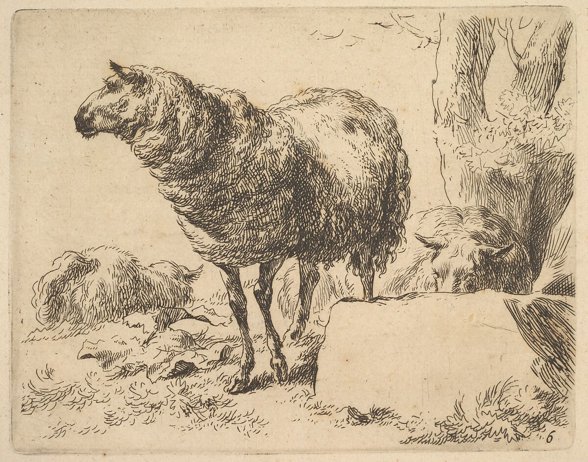 from The Set of Sheep, Nicolaes Berchem (Dutch, Haarlem 1621/22–1683 Amsterdam), Etching 