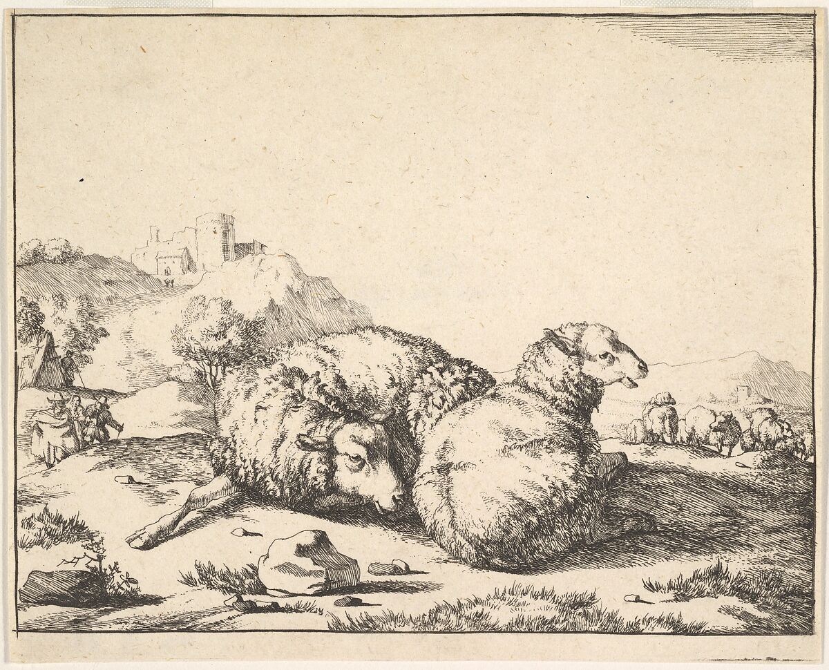 Sheep, from a set of 16 plates, Marcus de Bye (Dutch, The Hague 1639–after 1688), Etching 