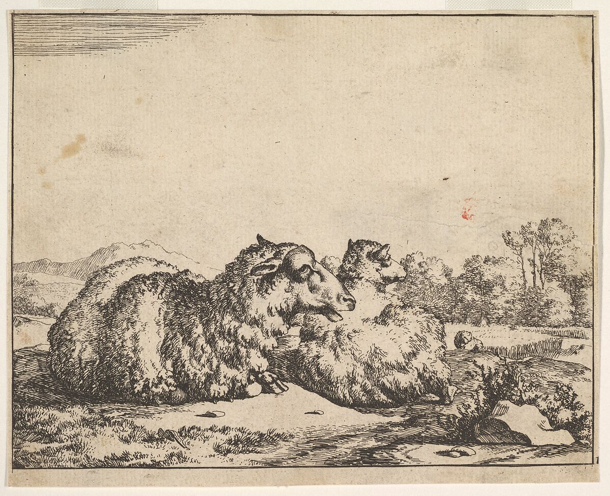 Sheep, from a set of 16 plates, Marcus de Bye (Dutch, The Hague 1639–after 1688), Etching 