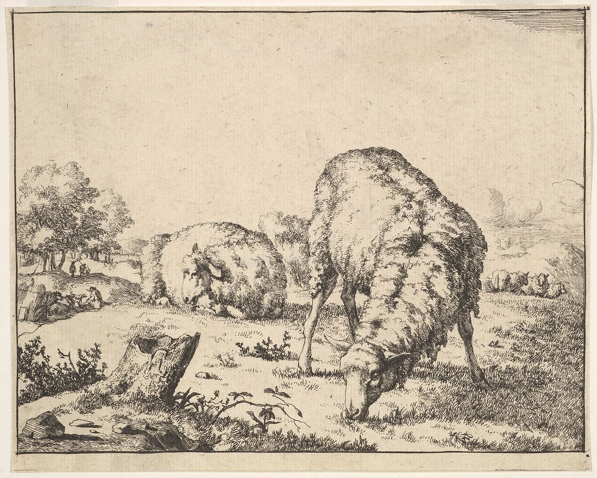 Sheep, from a set of 16 plates, Marcus de Bye (Dutch, The Hague 1639–after 1688), Etching 