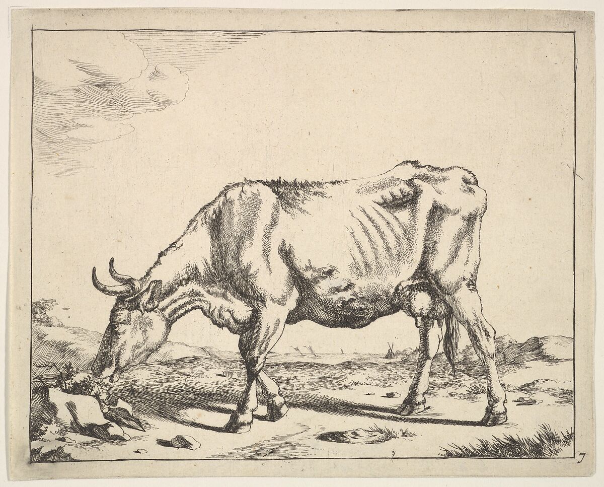 Cow, after Paulus Potter, Marcus de Bye (Dutch, The Hague 1639–after 1688), Etching 