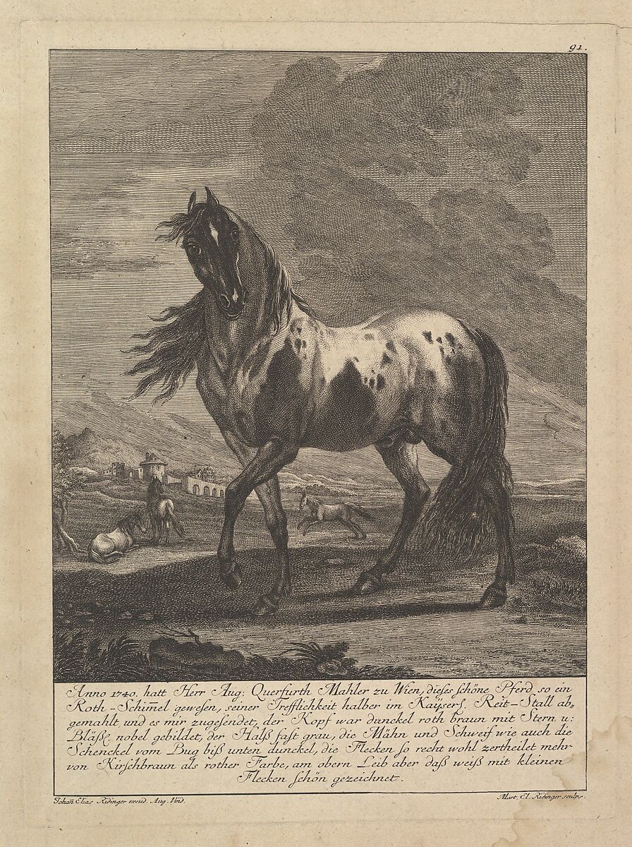 Horse, After Johann Elias Ridinger (German, Ulm 1698–1767 Augsburg), Etching 