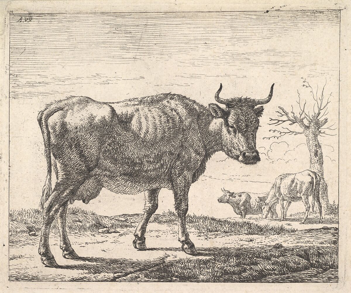 Three Cows, Adriaen van de Velde (Dutch, Amsterdam 1636–1672 Amsterdam), Etching 