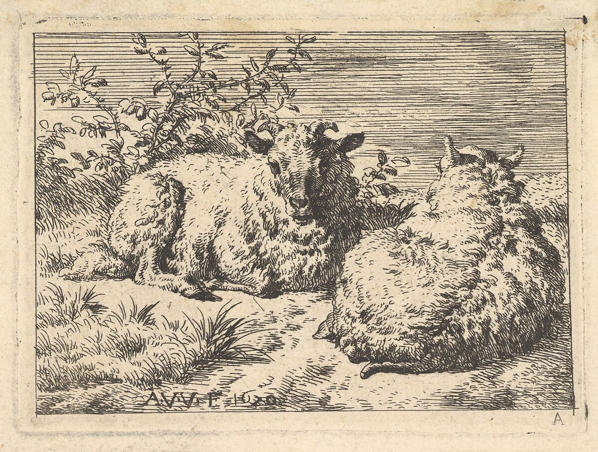 Two Recumbent Sheep, Adriaen van de Velde (Dutch, Amsterdam 1636–1672 Amsterdam), Etching 