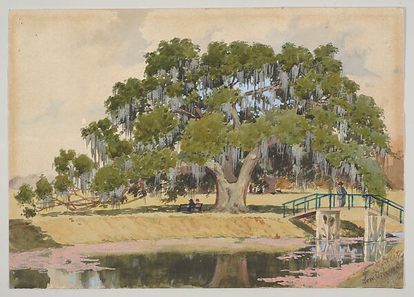 The Washington Live Oak, New Orleans