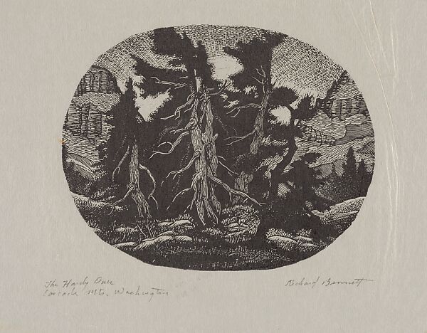 The Hardy Oak, Cascade Mountains, Washington, Richard Bennett (American, Leap, Ireland 1899–1971 Seattle, Washington), Woodcut print on chine 