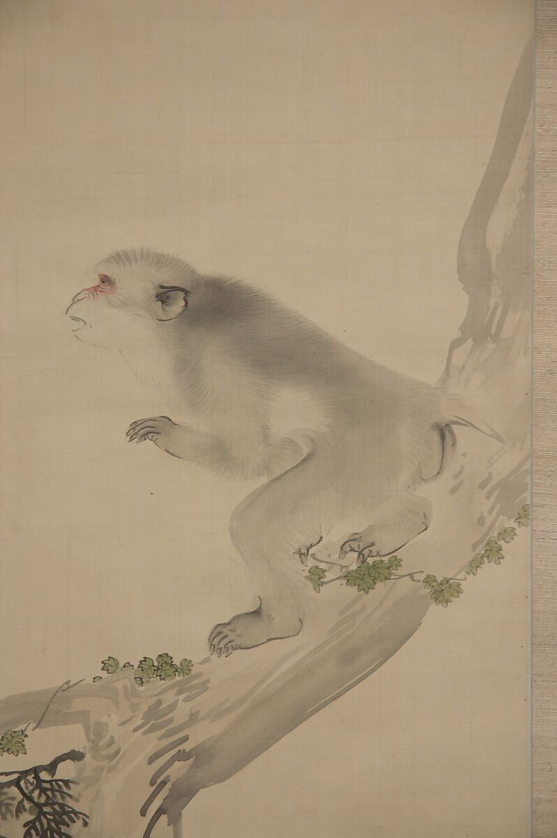 Monkey and Bee, Okamoto Toyohiko (1773–1845), Hanging scroll; ink and color on silk, Japan