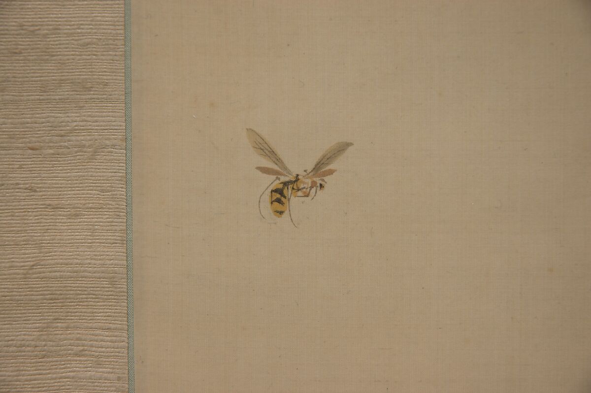 Monkey and Bee, Okamoto Toyohiko (1773–1845), Hanging scroll; ink and color on silk, Japan
