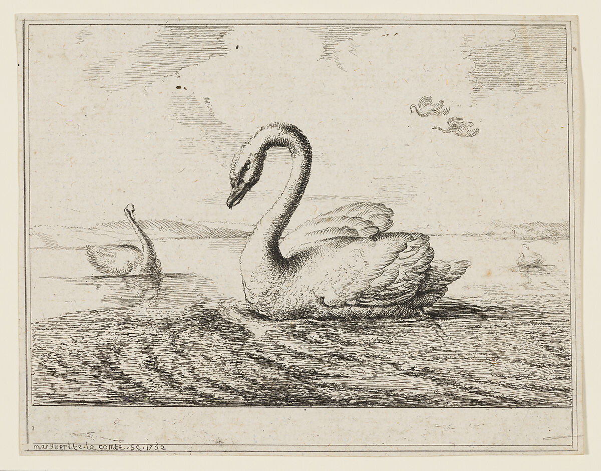 Swans on Open Water, Marguerite Le Comte (French), Etching 