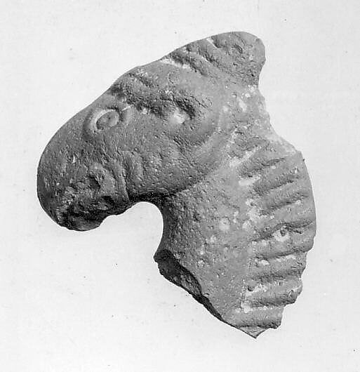 Head of a Horse or Camel, Terracotta, Central Asia 
