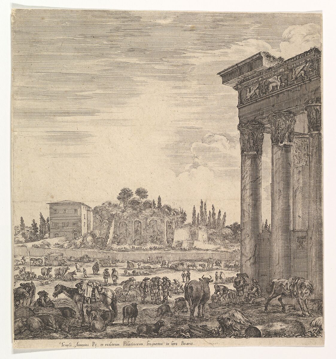 The columns of the Temple of Antoninus to right, a part of the Campo Vaccino in center and at left, along with various animals and figures, the Palatine ruins in the background, from "Six large views, four of Rome, and two of the Roman countryside" (Six grandes vues, dont quatre de Rome et deux de la Campagne romaine), Stefano della Bella (Italian, Florence 1610–1664 Florence), Etching; second state of two 
