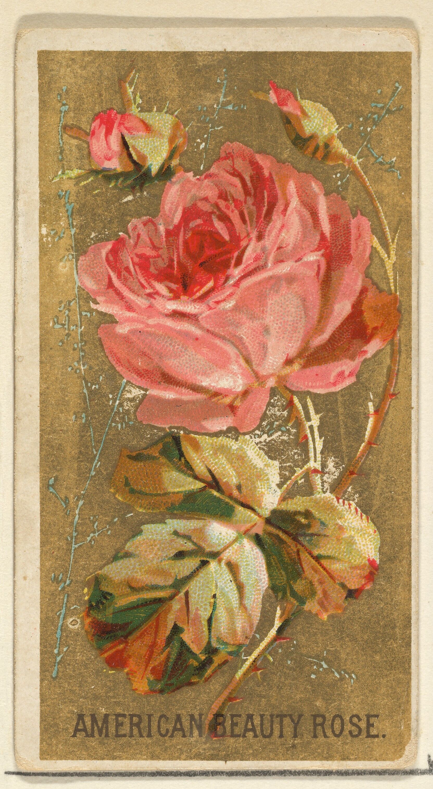 source