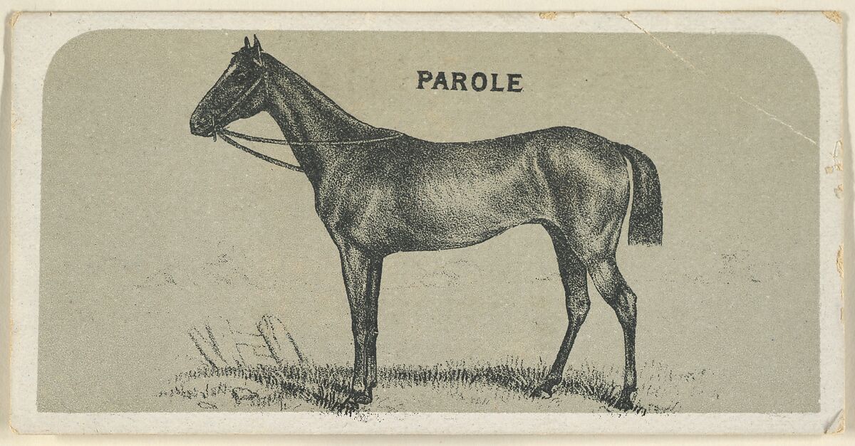 Parole, from the Race Horses series (N168) for Canvas Backs Cigarettes, Issued by Goodwin &amp; Company, Commercial color lithograph 