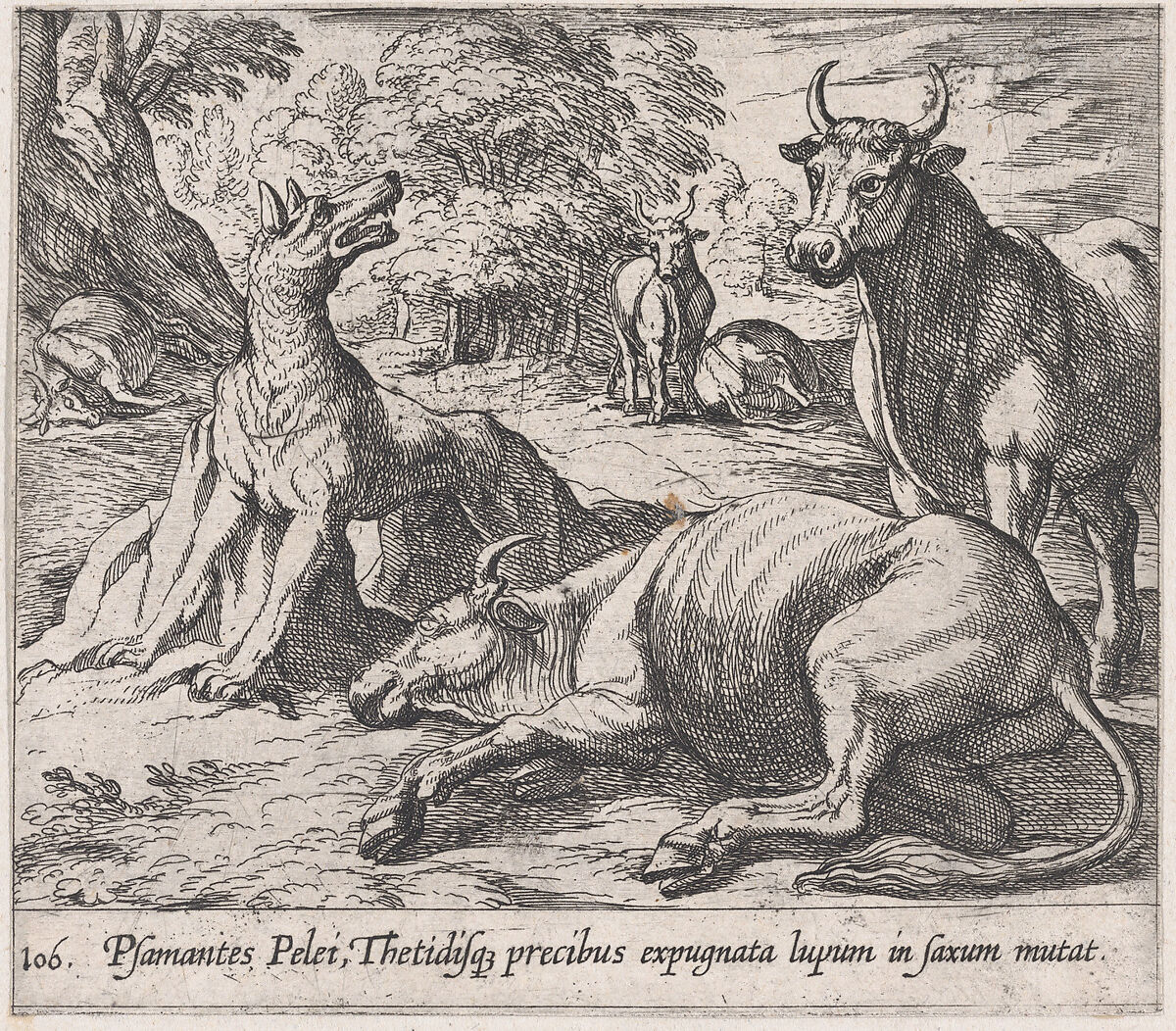 Plate 106: Peleus's Cattle, ad the Sea Wolf Turned to Marble (Psamantes Pelei, Thetidisq precibus expugnata lupum in saxum mutat), from Ovid's 'Metamorphoses', Antonio Tempesta (Italian, Florence 1555–1630 Rome), Etching 