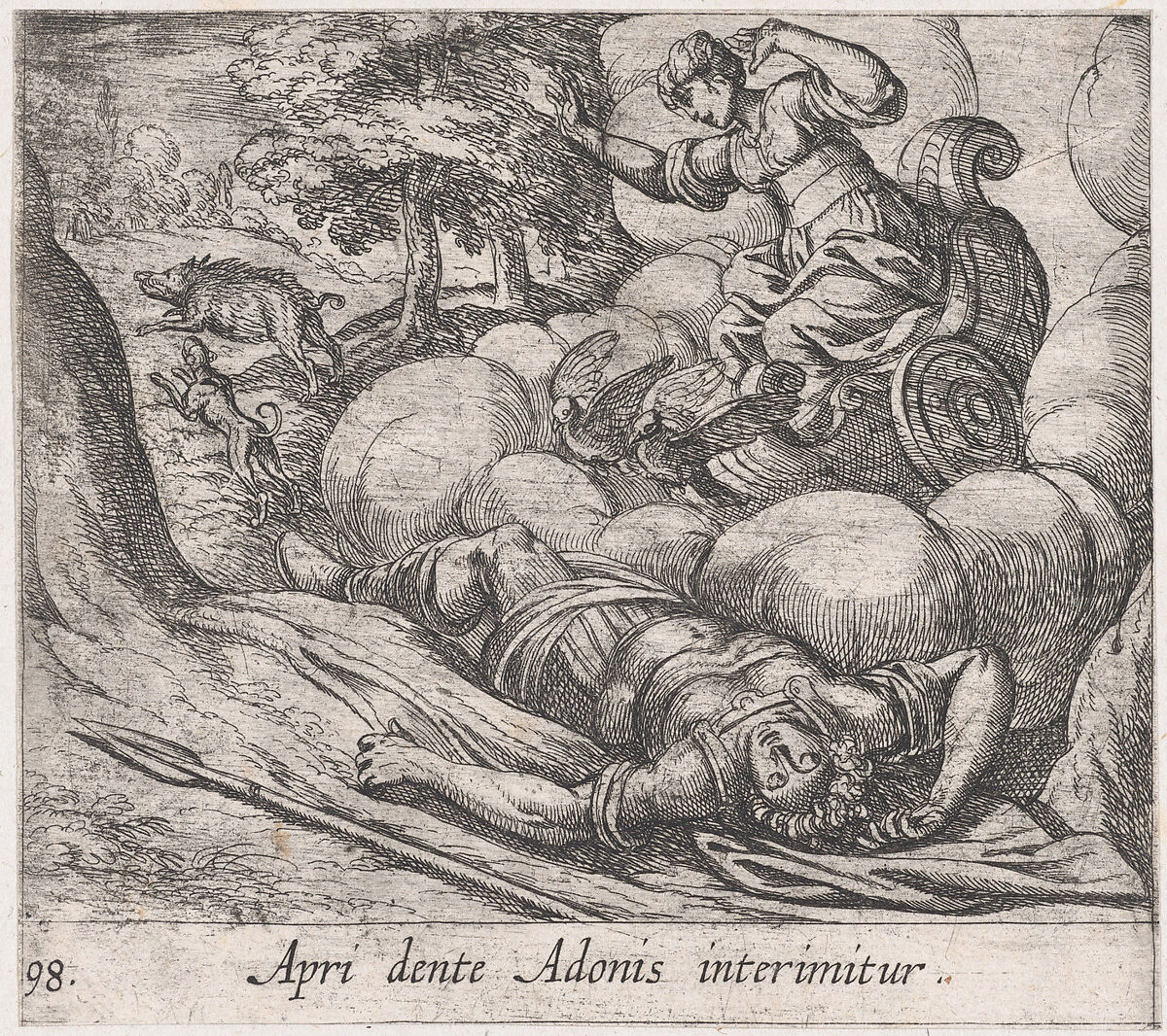 Plate 98: The Metamorphosis of Adonis (Apri dente Adonis interimitur), from Ovid's 'Metamorphoses', Antonio Tempesta (Italian, Florence 1555–1630 Rome), Etching 