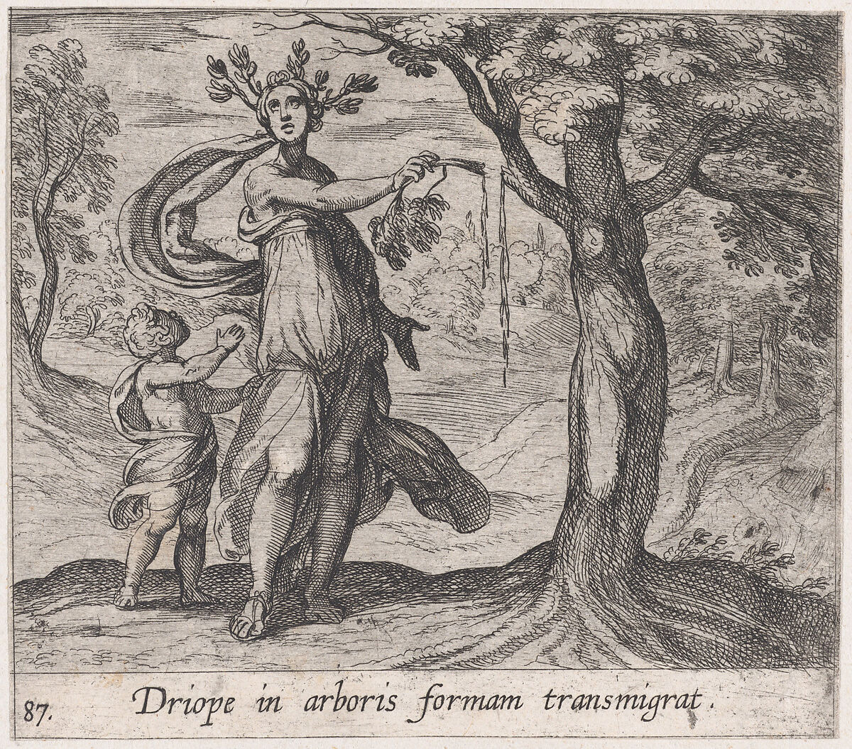 Plate 87: Dryope Changed into a Lotus Tree (Driope in arboris formam transmigrat), from Ovid's 'Metamorphoses', Antonio Tempesta (Italian, Florence 1555–1630 Rome), Etching 