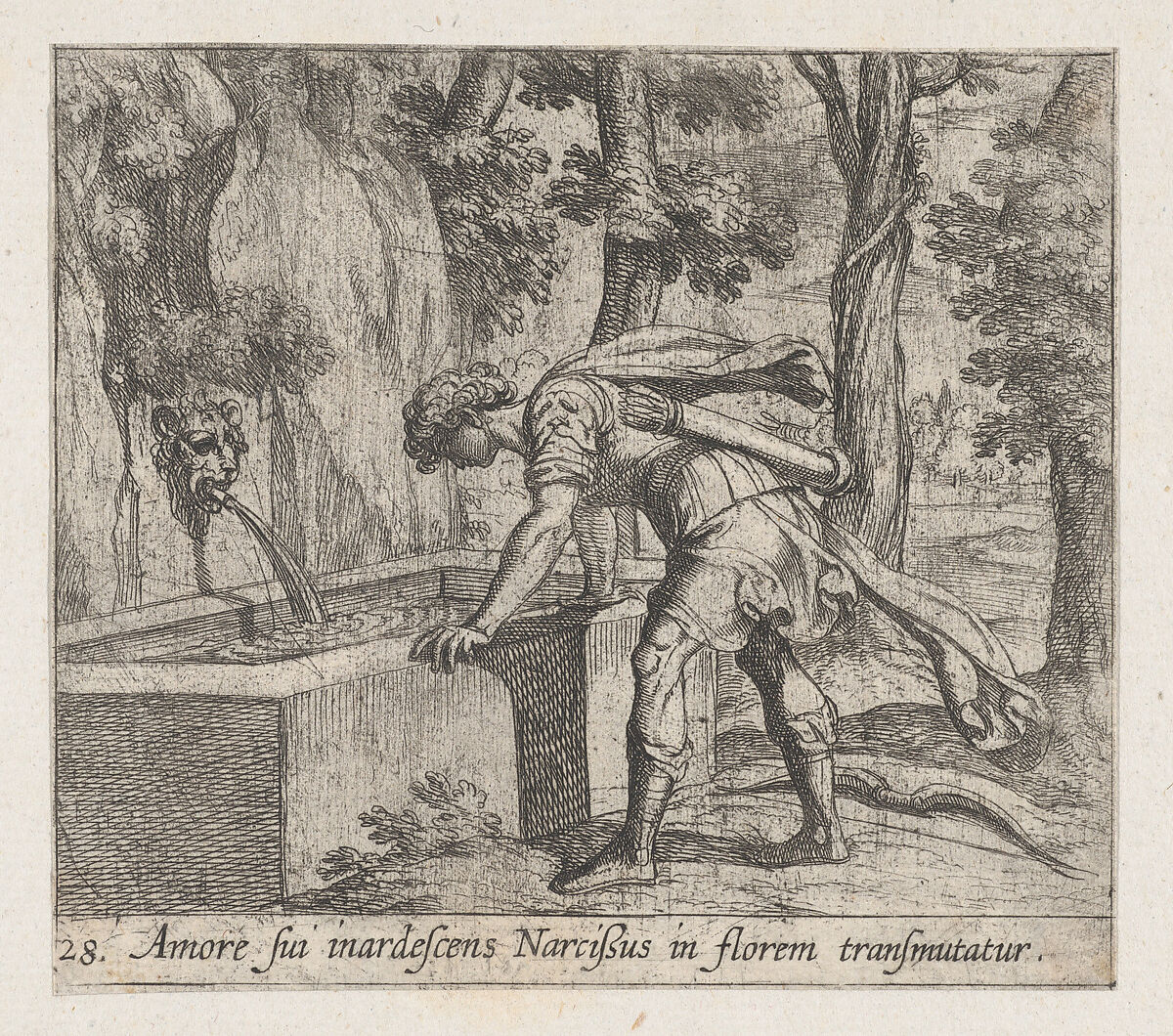 Plate 28: Narcissus at the Well (Amore fui inardescens Narcißus in florem transmutatur), from Ovid's 'Metamorphoses', Antonio Tempesta (Italian, Florence 1555–1630 Rome), Etching 