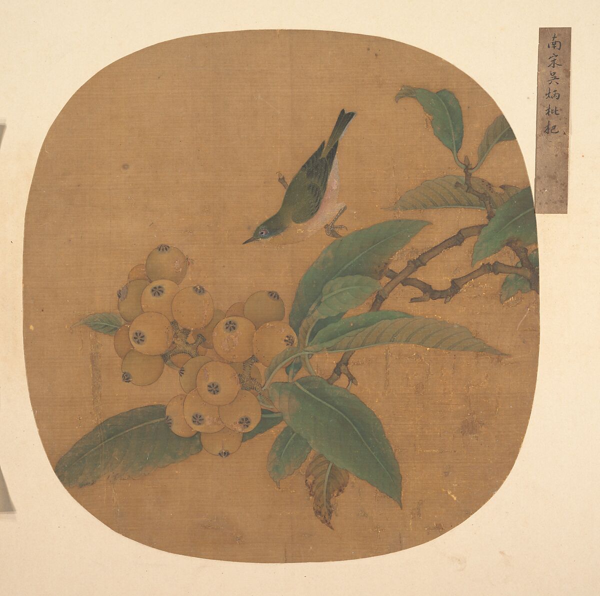 Bird on a Loquat Tree, Unidentified artist, Fan mounted as an album leaf; ink and color on silk, China 