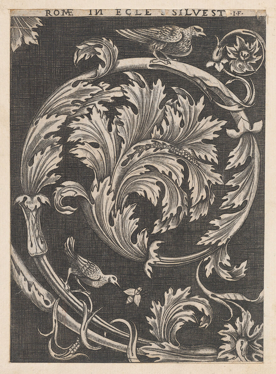 Ornamental foliage from churches, from "Speculum Romanae Magnificentiae", Attributed to Jacopo Francia (Italian, before 1486–1557), Etching and engraving; second state of two (Hind) 