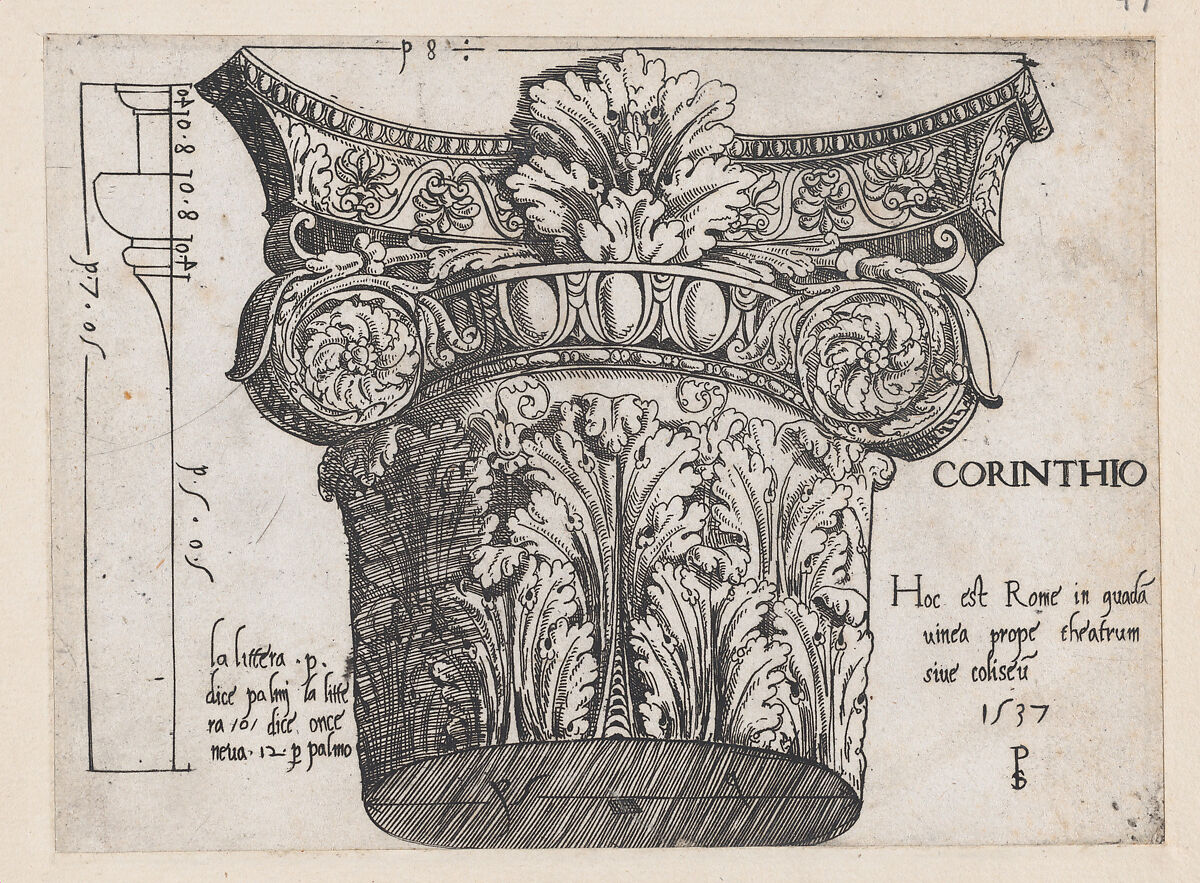 Corinthian capital, from "Speculum Romanae Magnificentiae", Master PS (Italian or French, active 1530s), Engraving 