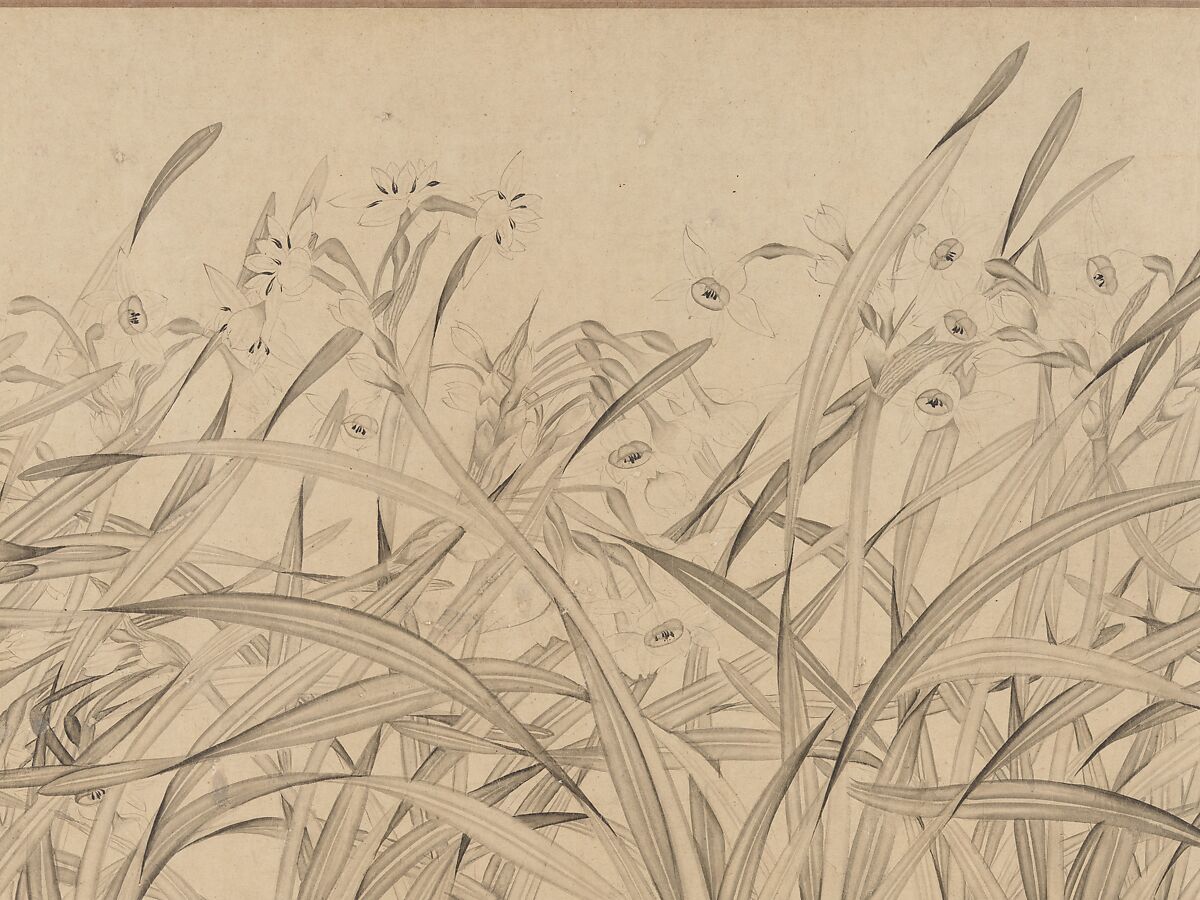 Narcissus, Zhao Mengjian (Chinese, 1199–before 1267), Handscroll; ink on paper, China 