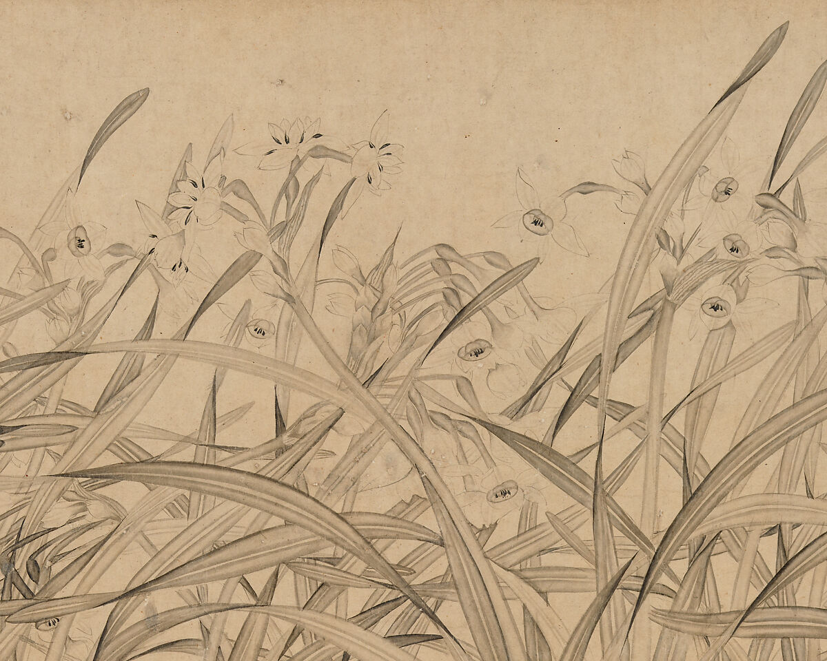 Narcissus, Zhao Mengjian (Chinese, 1199–before 1267), Handscroll; ink on paper, China