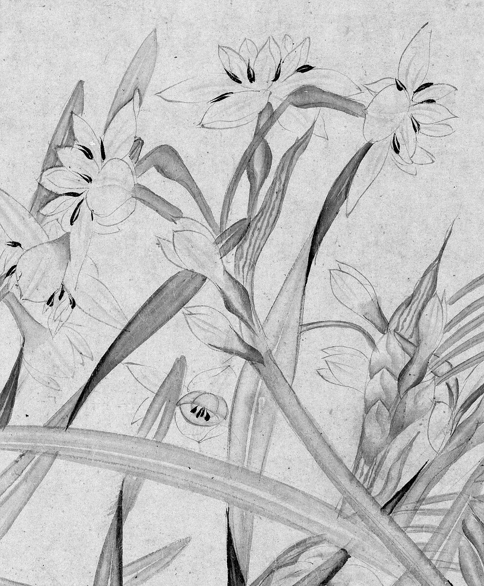 Narcissus, Zhao Mengjian (Chinese, 1199–before 1267), Handscroll; ink on paper, China