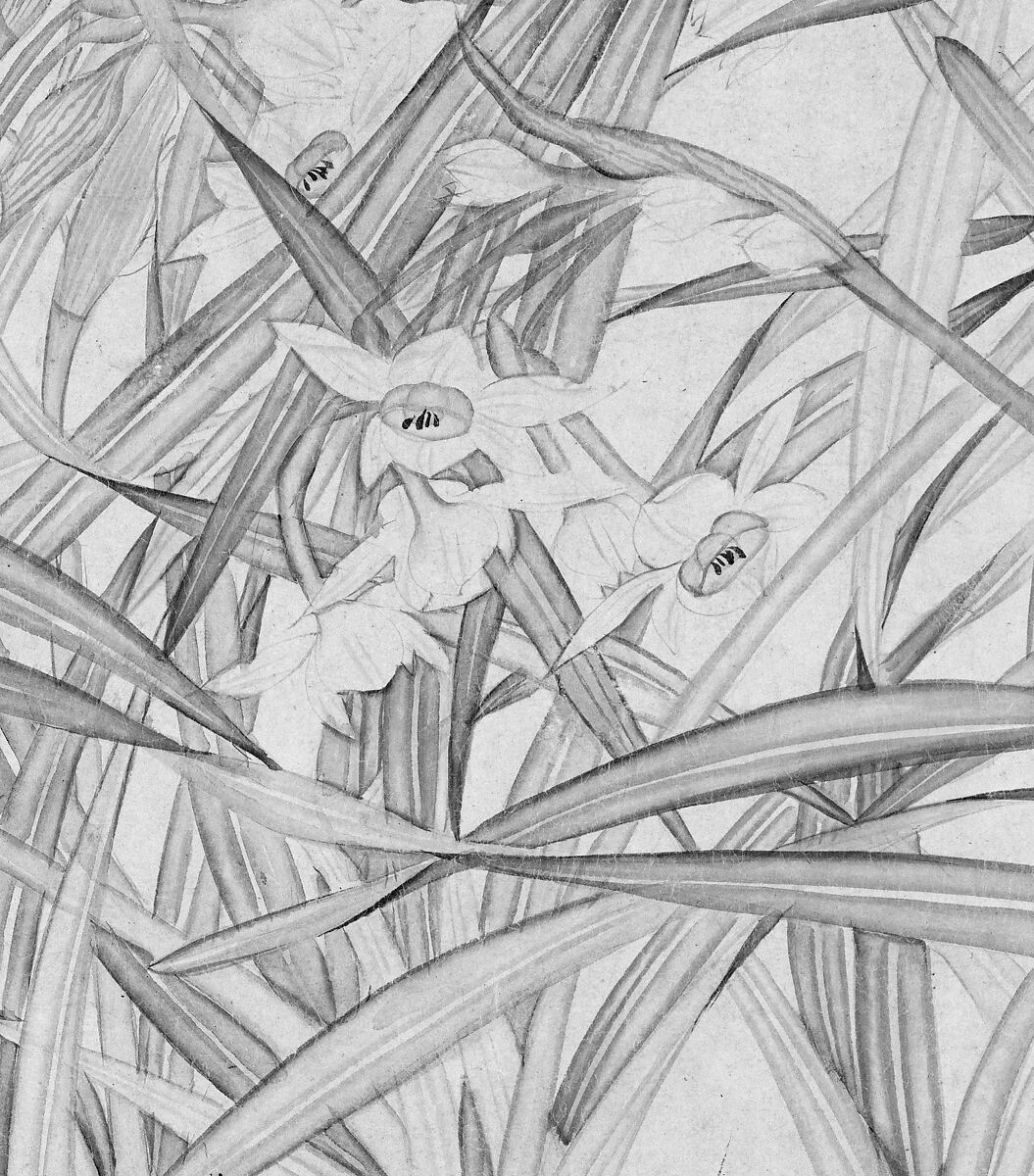 Narcissus, Zhao Mengjian (Chinese, 1199–before 1267), Handscroll; ink on paper, China