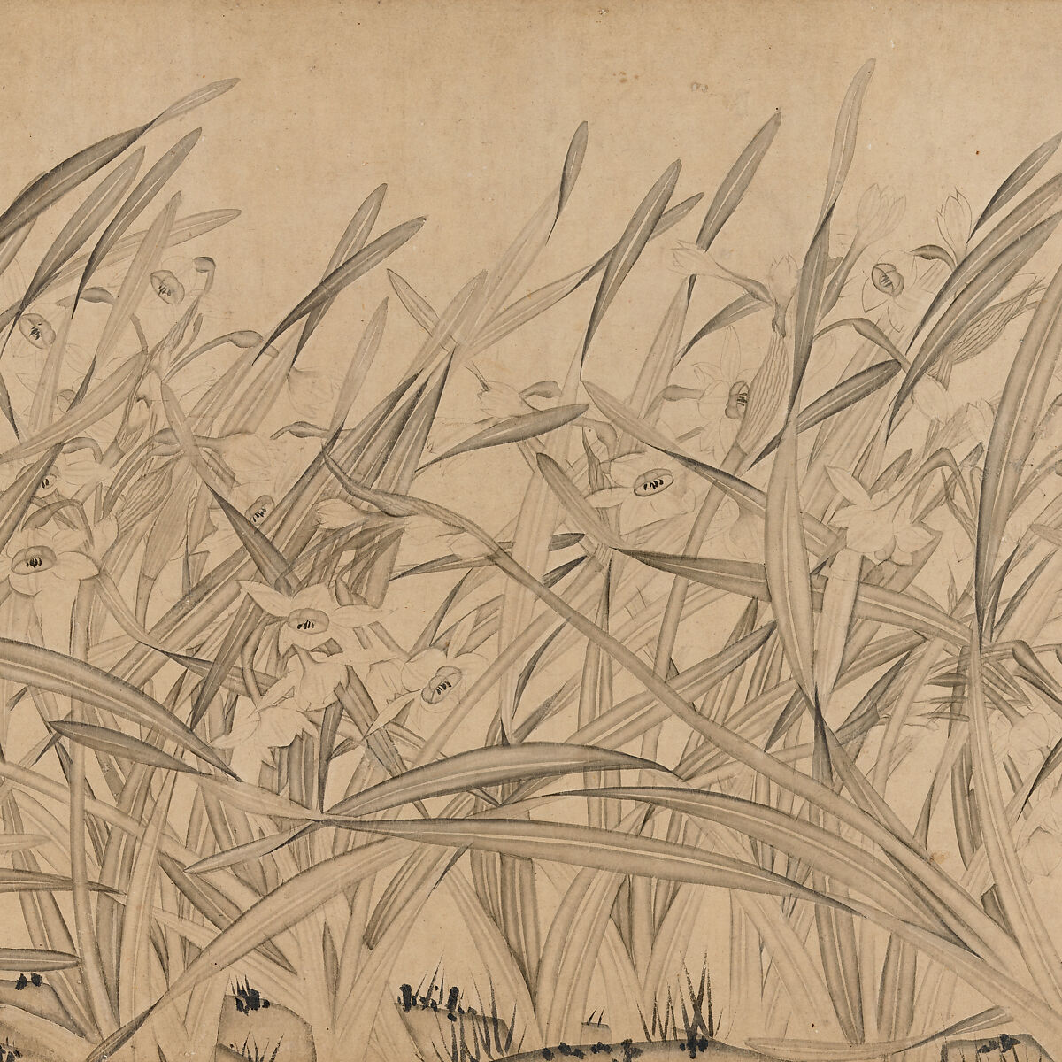 Narcissus, Zhao Mengjian (Chinese, 1199–before 1267), Handscroll; ink on paper, China