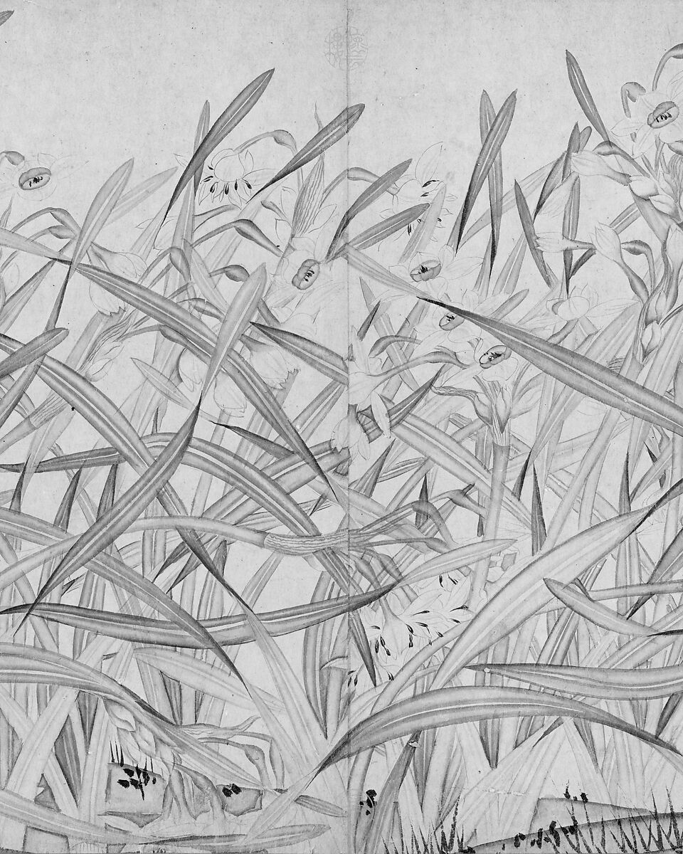 Narcissus, Zhao Mengjian (Chinese, 1199–before 1267), Handscroll; ink on paper, China