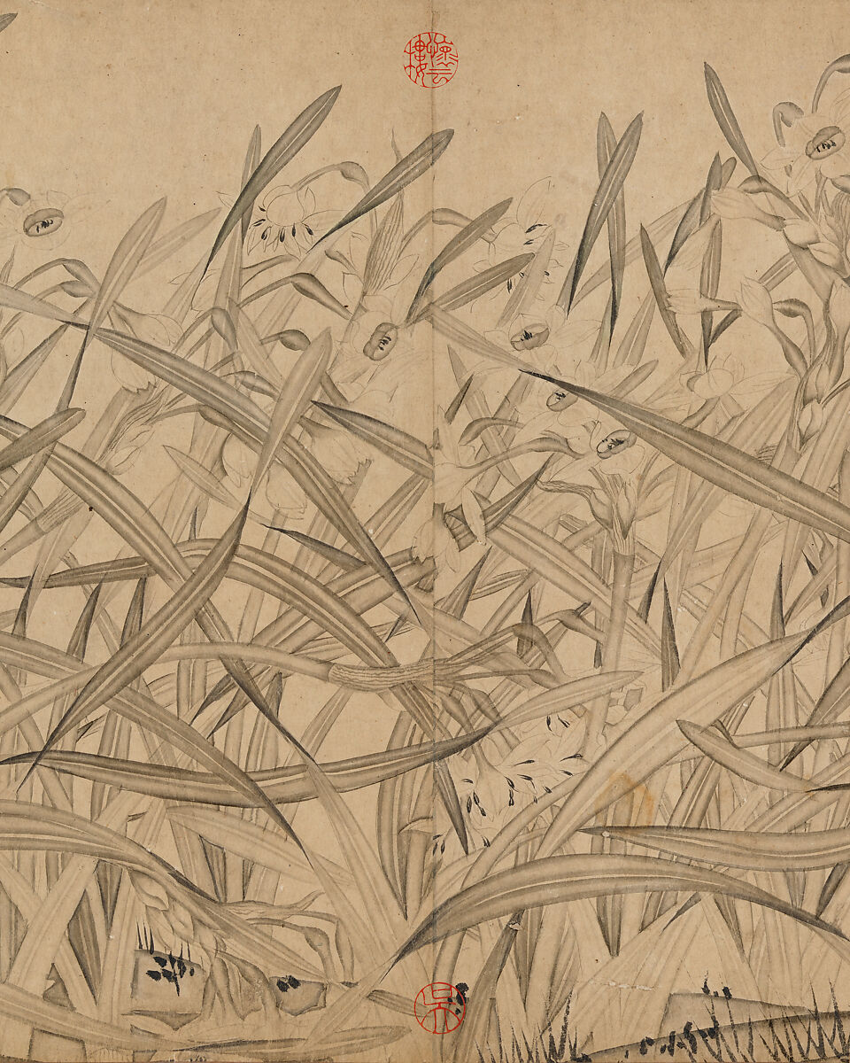 Narcissus, Zhao Mengjian (Chinese, 1199–before 1267), Handscroll; ink on paper, China