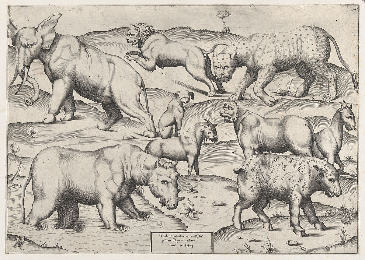 Wild Animals, from antique wall paintings, plate 2, from "Speculum Romanae Magnificentiae", Anonymous, Engraving 