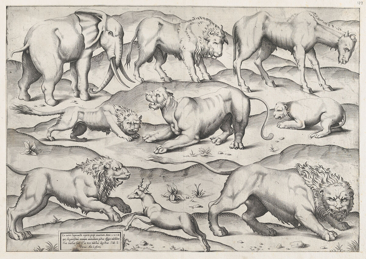 Wild Animals, from antique wall paintings, plate 1, from "Speculum Romanae Magnificentiae", Anonymous, Engraving 