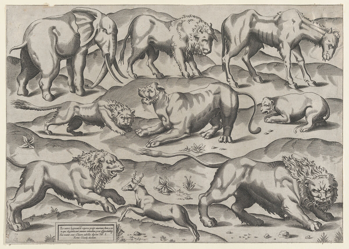 Wild Animals, from antique wall paintings, plate 1, from "Speculum Romanae Magnificentiae", Anonymous, Engraving 