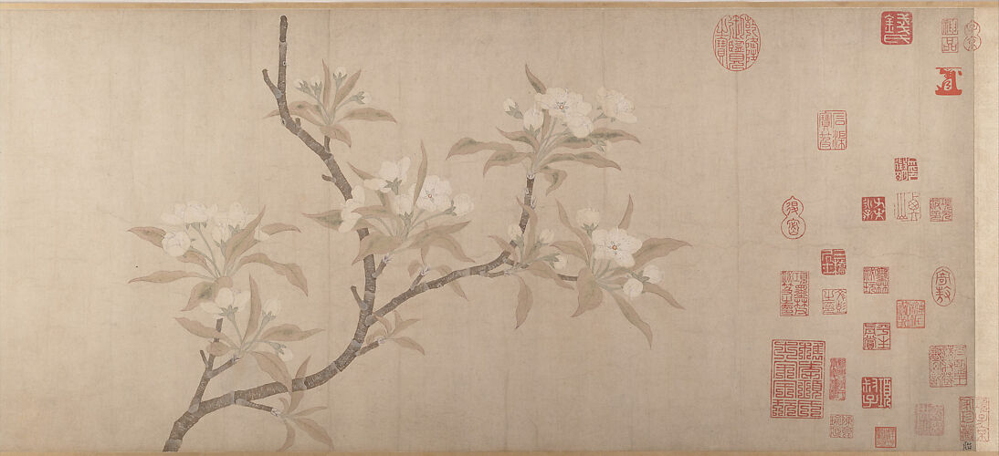 Pear Blossoms