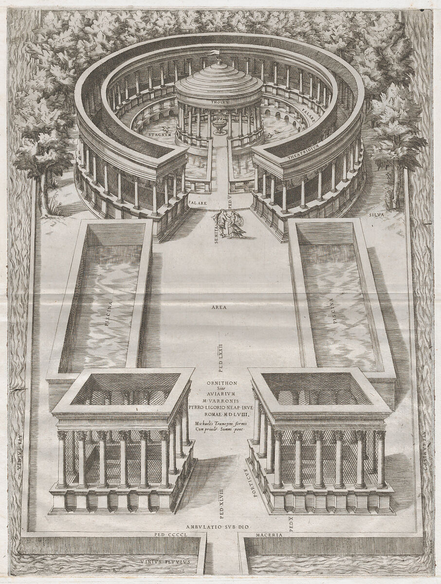 Ornithon Sive Aviarum, from "Speculum Romanae Magnificentiae", Anonymous, Etching 