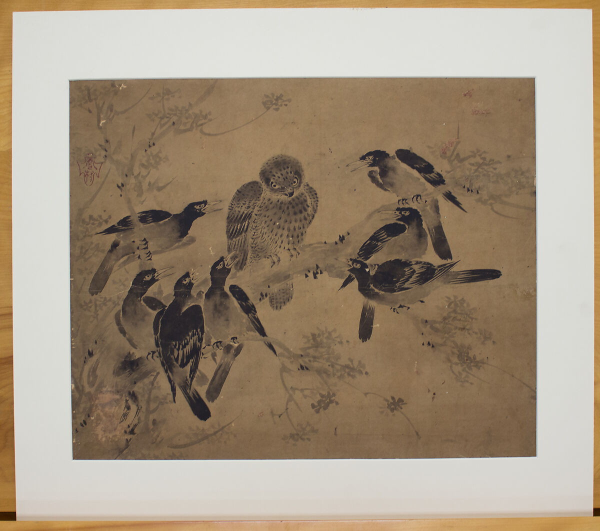Mynah Birds Attacking an Owl, After Sesson Shūkei (ca. 1504–ca. 1589), Matted painting; ink on paper, Japan