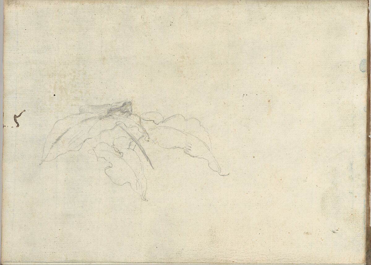 Carved panel and border ornament (recto). Sketches of leaves (verso) (Smaller Italian sketchbook, leaf 21), Joseph Wright (Wright of Derby) (British, Derby 1734–1797 Derby), Recto: graphite, brush and blue and yellow wash
Verso: graphite